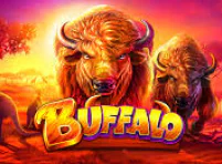 Buffalo